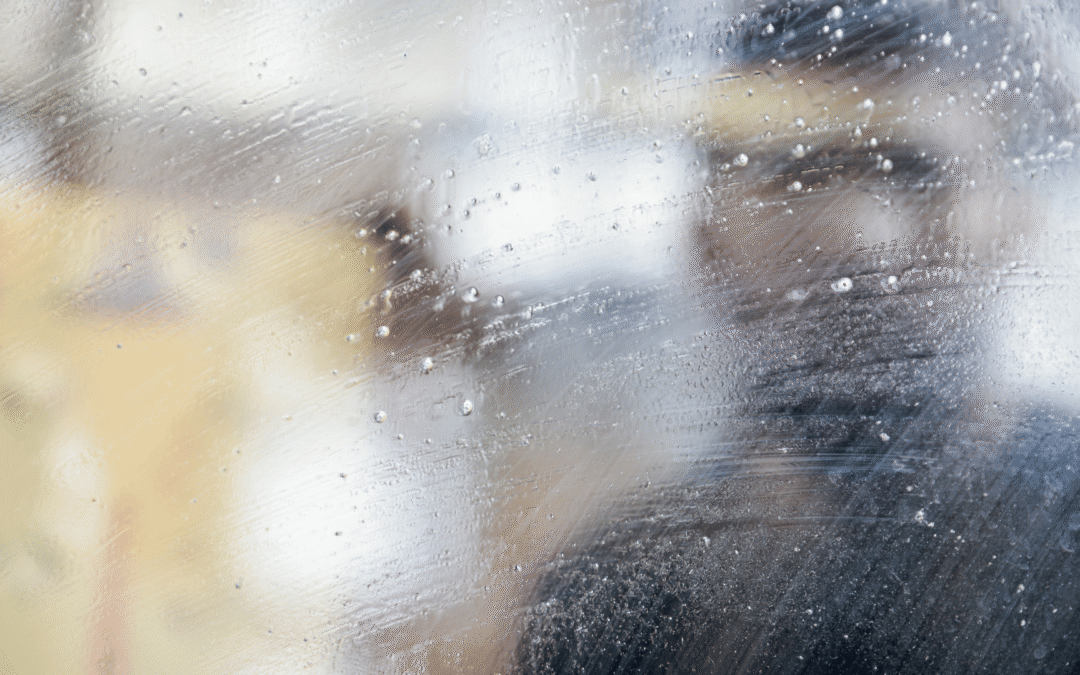 A vitrine vazia: Quando o sucesso para de bastar