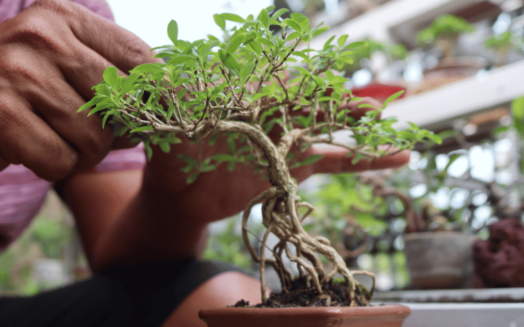 Novembro Azul: O que a falta de cuidado com a saúde revela sobre nós?