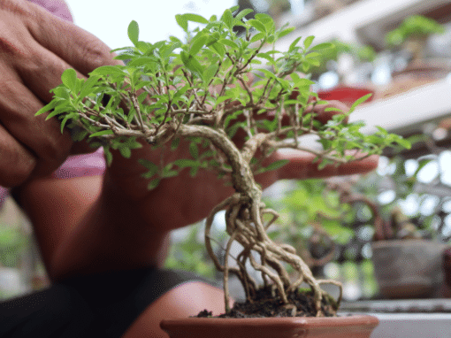 Novembro Azul: O que a falta de cuidado com a saúde revela sobre nós?