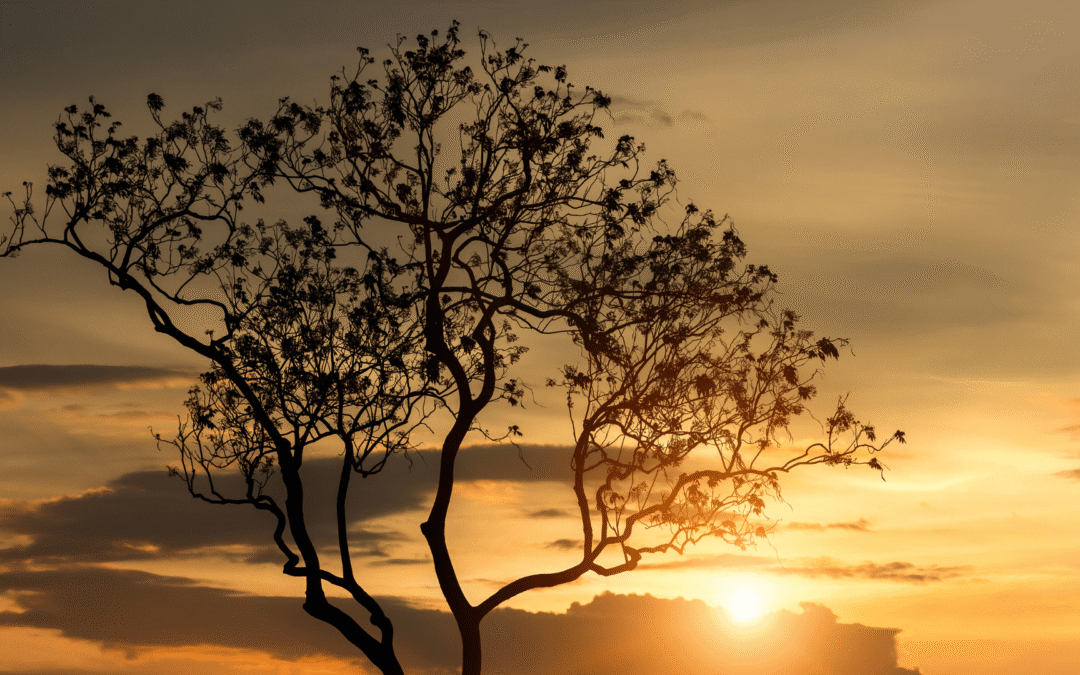 Quando o tempo deixa de ser um recurso e vira uma urgência