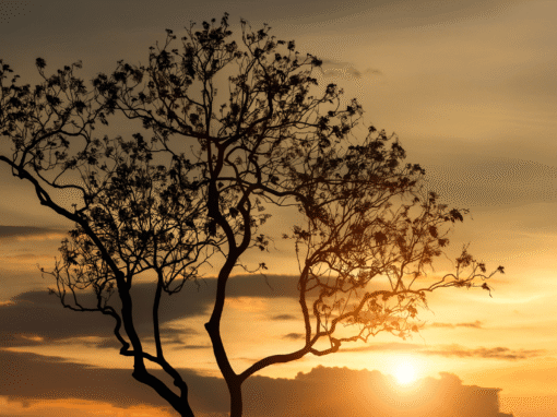 Quando o tempo deixa de ser um recurso e vira uma urgência