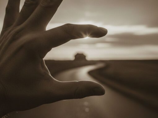 Quando o homem confunde o ‘Eu’ com o ‘Meu’